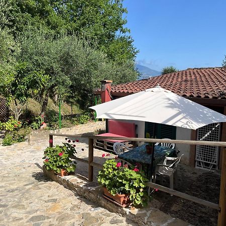Casa Vacanze Alfano 아셰아 외부 사진