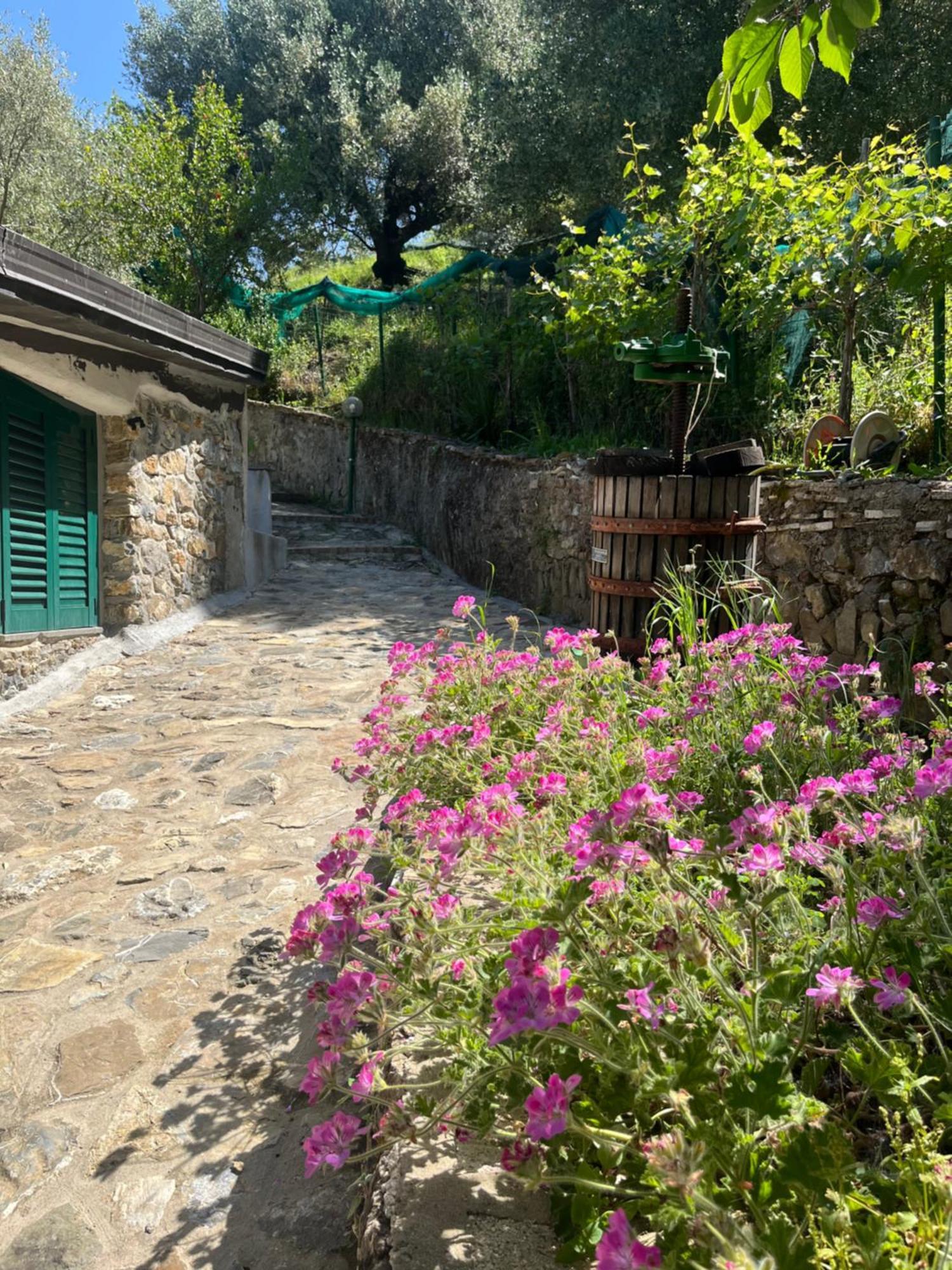 Casa Vacanze Alfano 아셰아 외부 사진