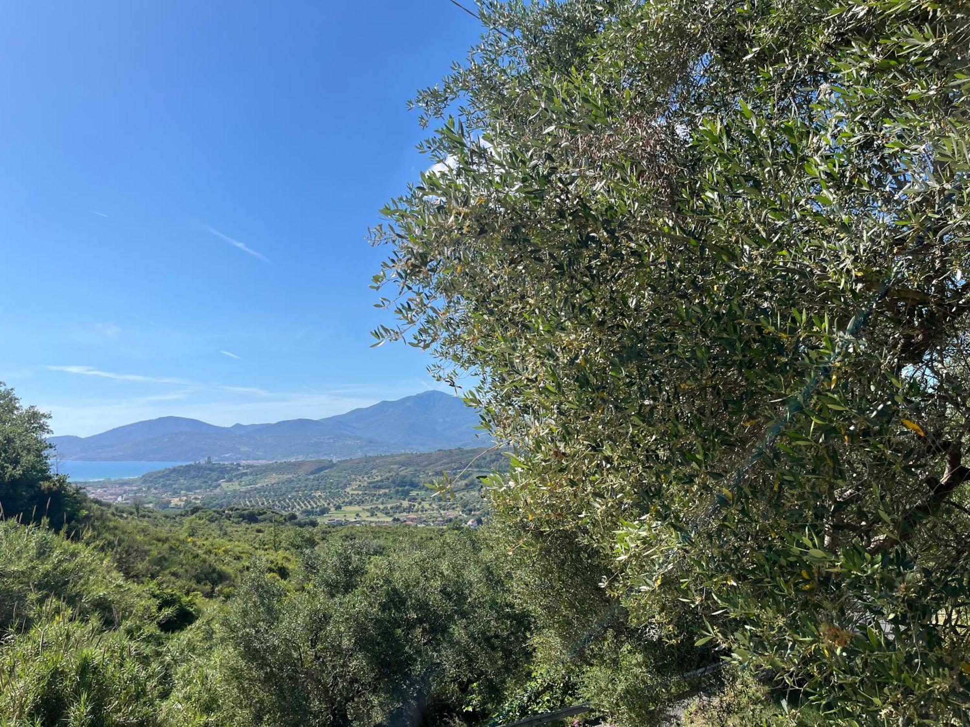 Casa Vacanze Alfano 아셰아 외부 사진