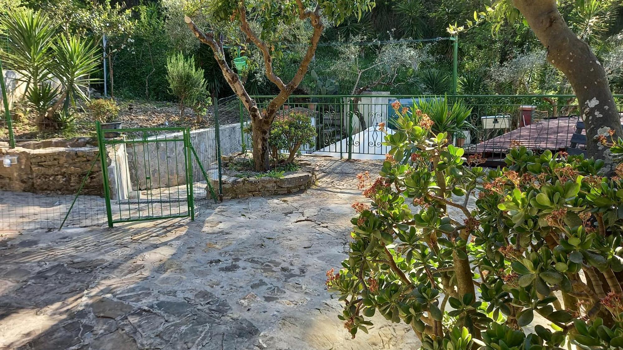 Casa Vacanze Alfano 아셰아 객실 사진