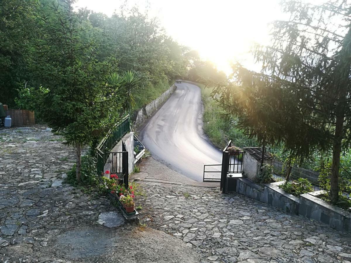 Casa Vacanze Alfano 아셰아 외부 사진